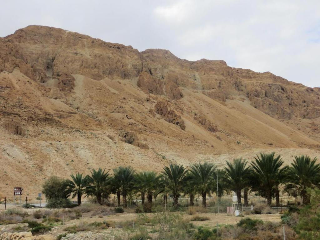 Ein Gedi Rooms Neve Zohar Exteriér fotografie